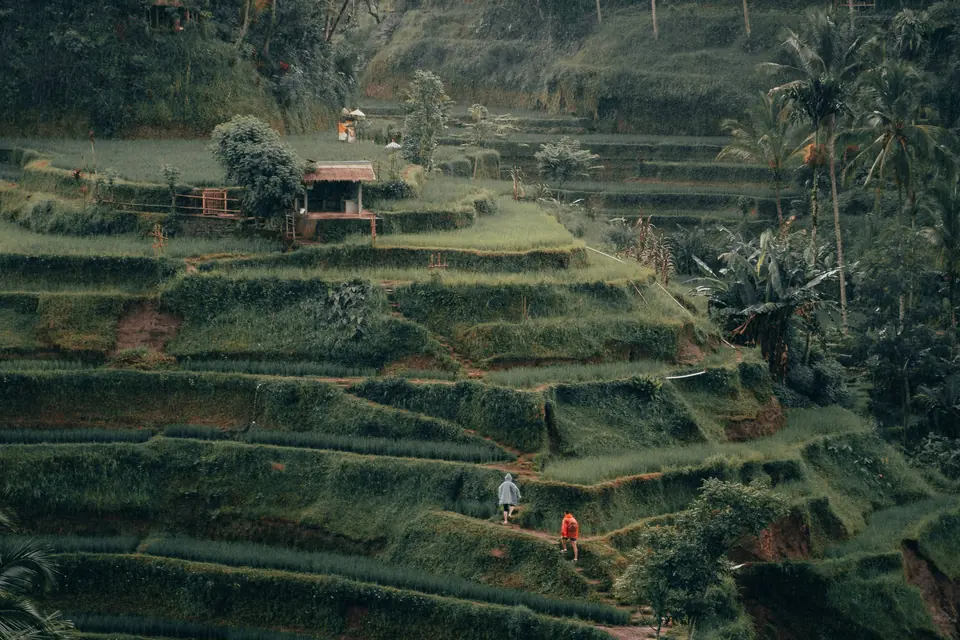 Bali: photograph 8 from the Travelance Holidays Bali package