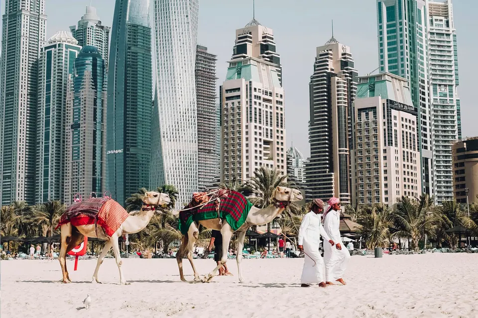 Dubai: photograph 5 from the Travelance Holidays Dubai package